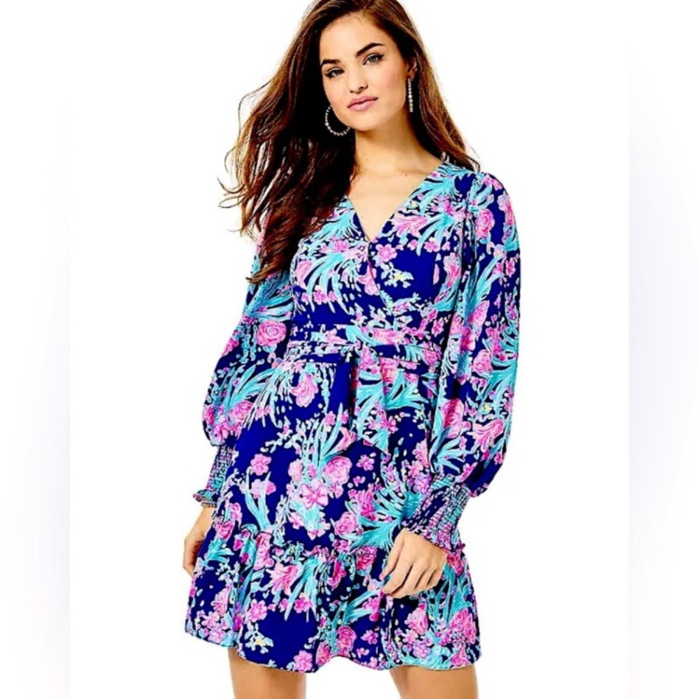 Lilly Pulitzer Rosie Corsica Blue Toucan Party Stretch Dress Size 8